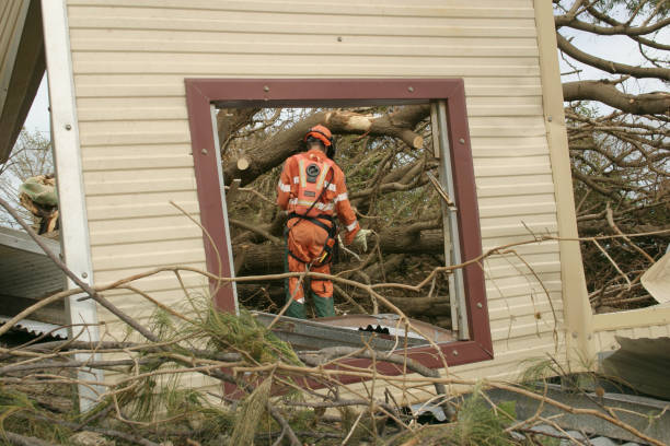 Bystrom, CA Tree Services Company